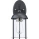 Blues 1 Light 14 inch Black and Brushed Nickel Outdoor Wall Lantern