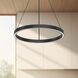 Cerchio Pendant Ceiling Light in Black
