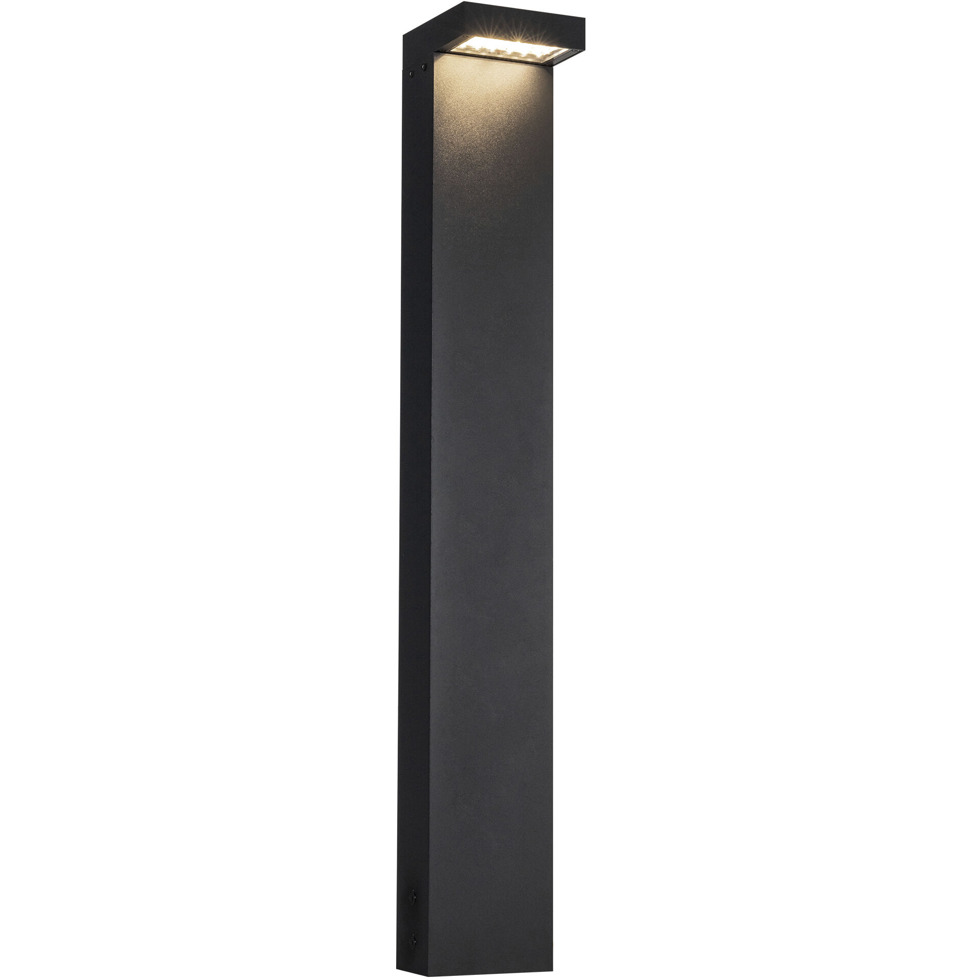 Evans 120-277V 24.00 watt Black Exterior Bollard