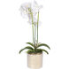 Stripe White Faux Orchid