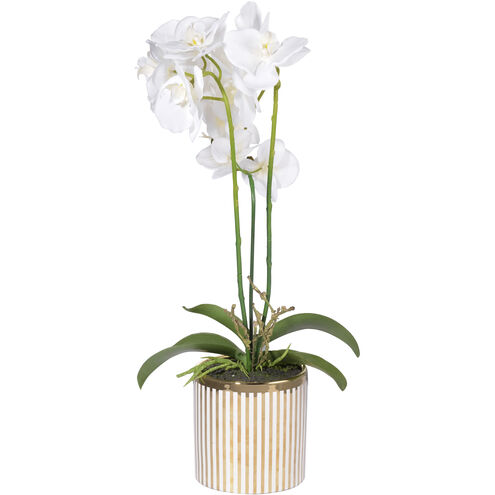 Stripe White Faux Orchid