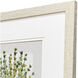 Herb & Wildflower II Green and Multi and Gray and Pink Framed Art, Propac