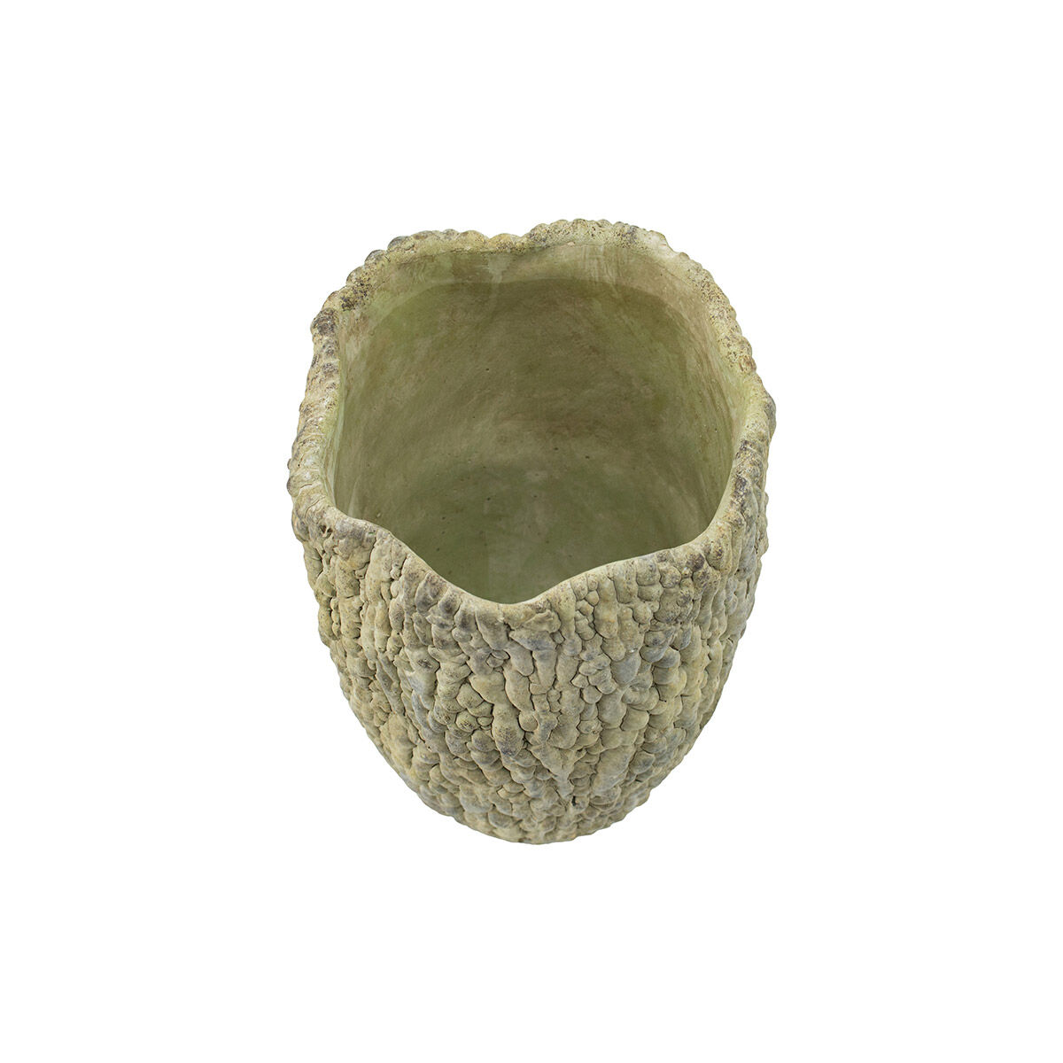 Bitter Gourd Light Green Outdoor Planter