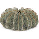 Sunken Boat 13.25 X 6.75 inch Wings Vase