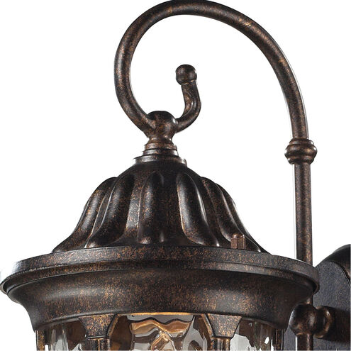 Joy 1 Light 14 inch Regal Bronze with Clear Outdoor Sconce