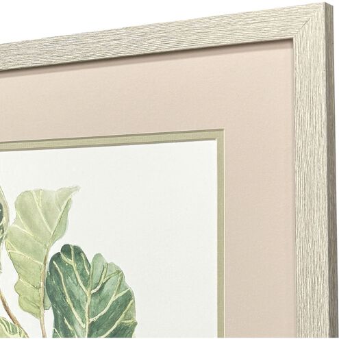Fiddle Fig Leaf Green Framed Art