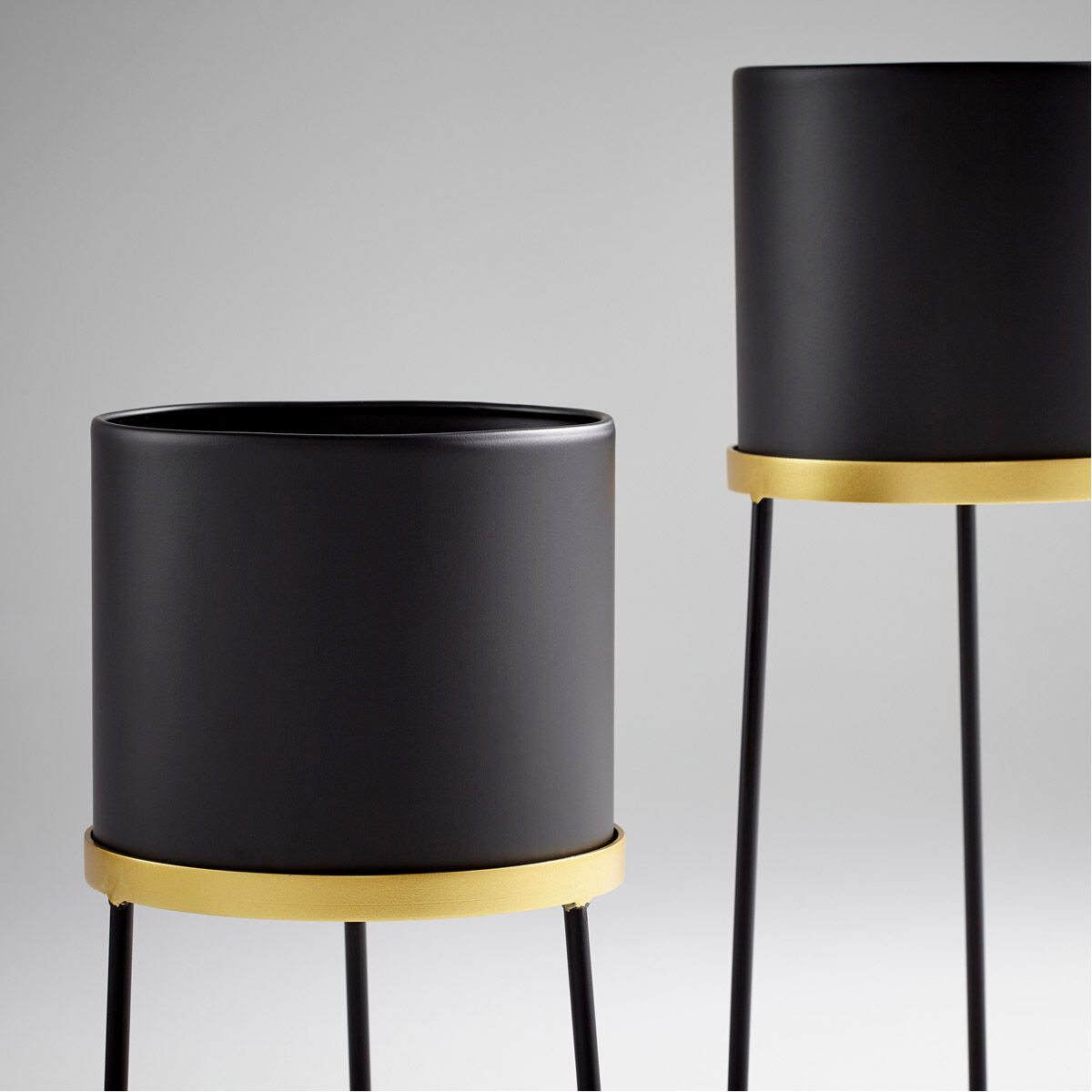 Liza Gold and Black Stand, Large