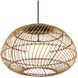 Carriage 1 Light 32.75 inch Black Outdoor Pendant