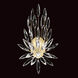 Lily Buds Wall Sconce Wall Light in Gold
