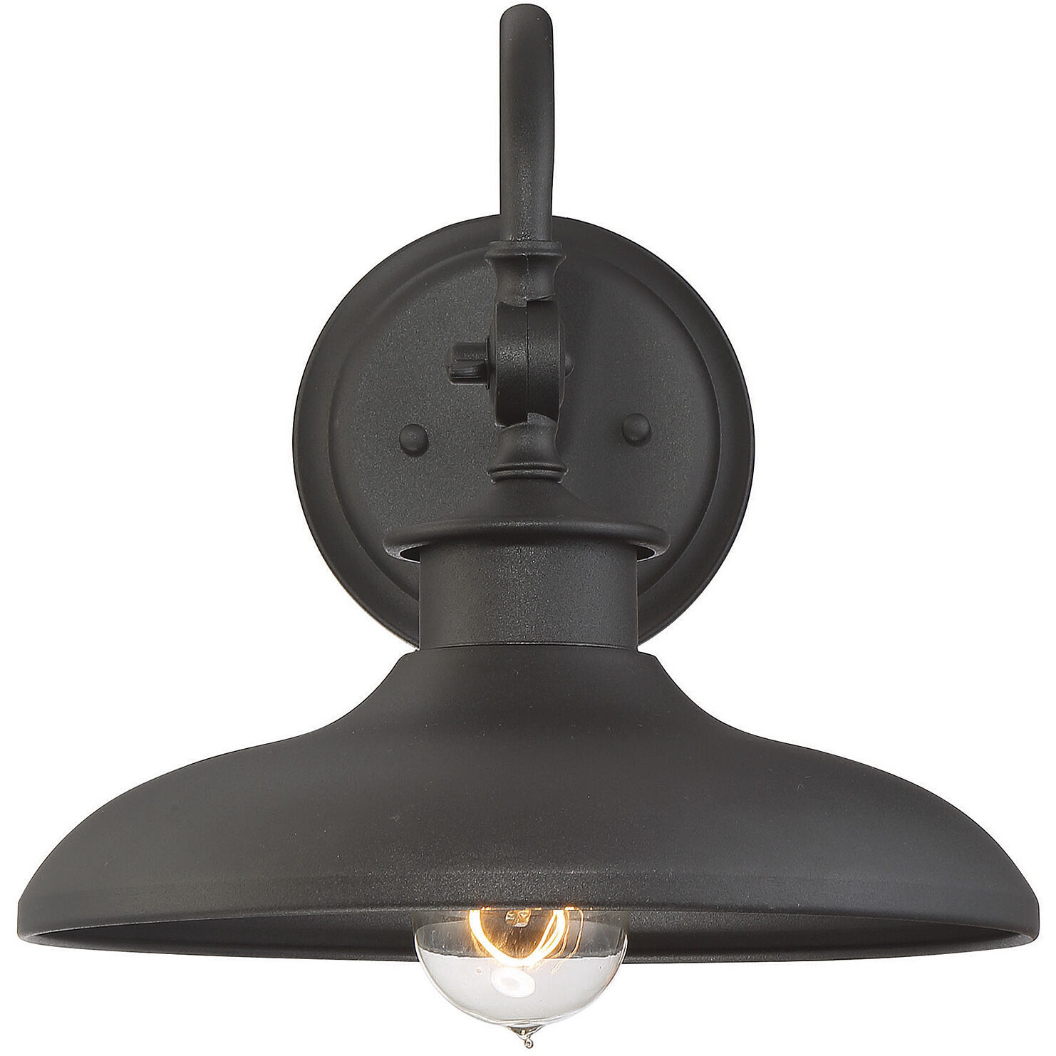 Raleigh Outdoor Wall Lantern