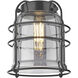 Franklin Restoration Bell Cage LED 6 inch Black Antique Brass Mini Pendant Ceiling Light in Plated Smoke, Franklin Restoration