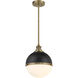 Vorey 1 Light 13 inch Coal And Oxidized Aged Brass Pendant Ceiling Light, Outdoor