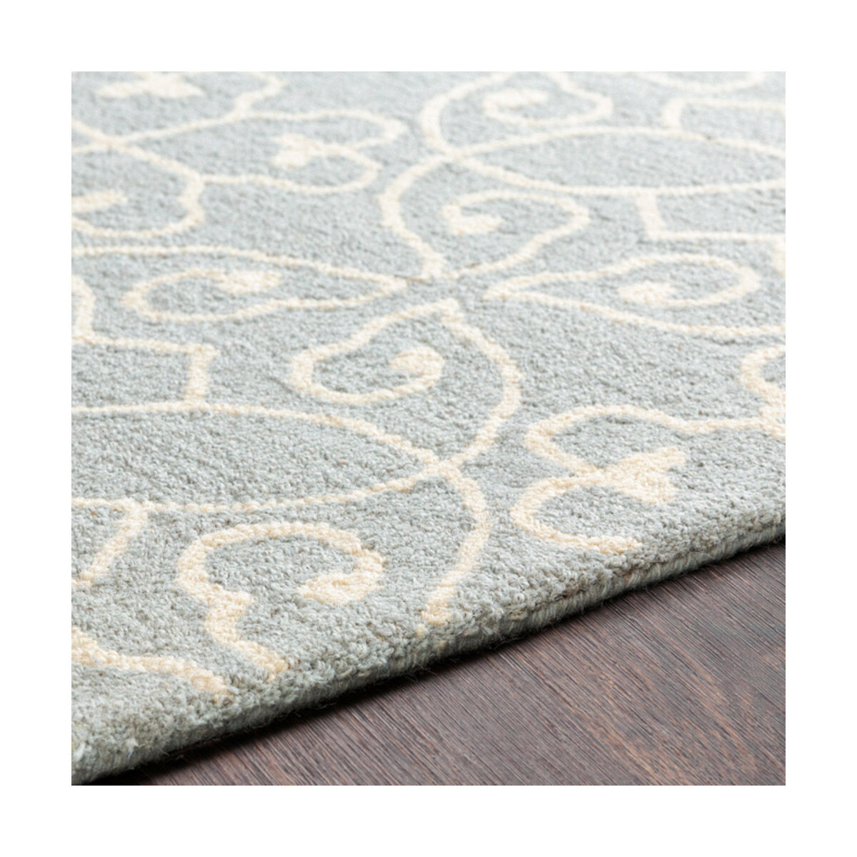 Scott 72 X 48 inch Light Gray/Cream Rugs, Rectangle