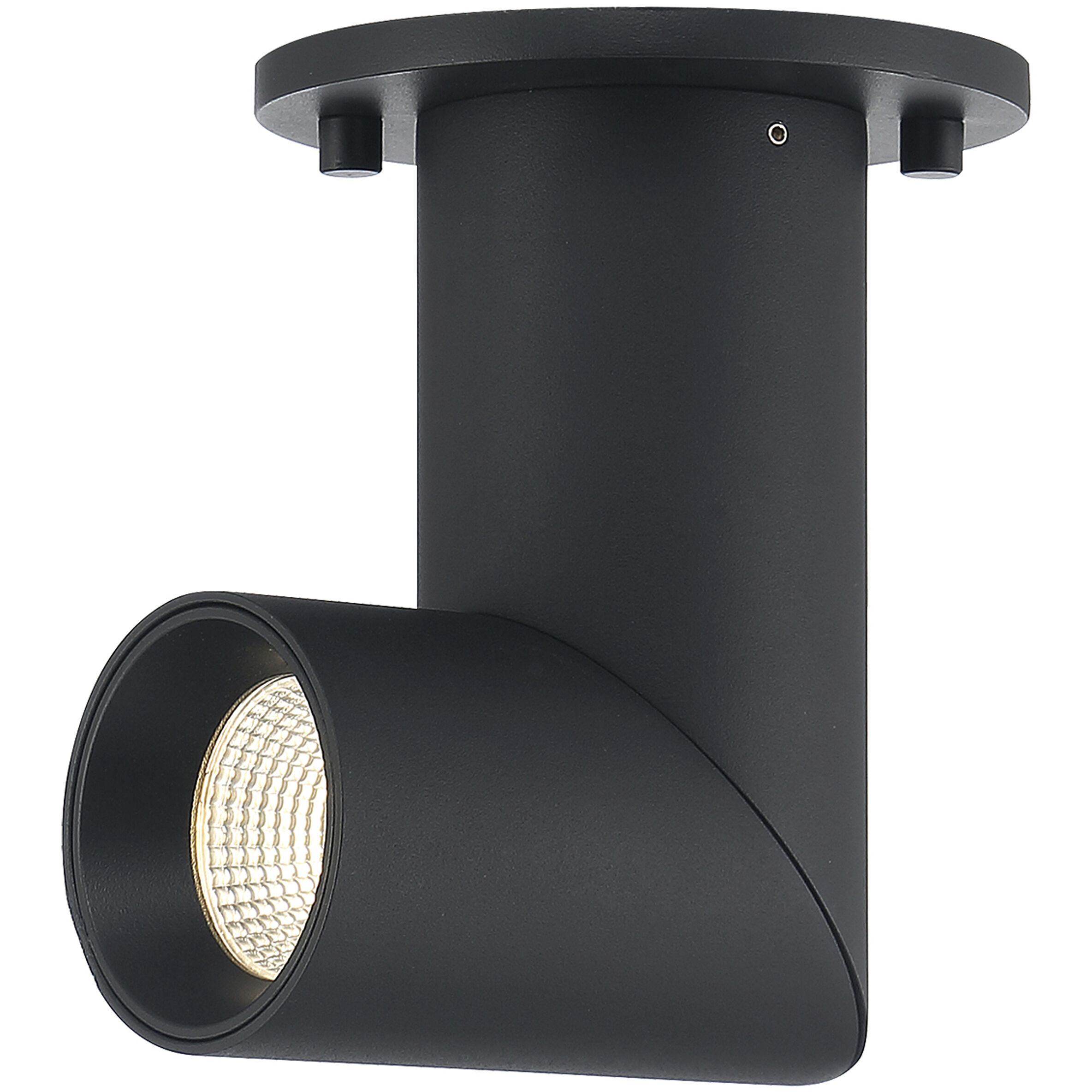 Transformer Black and Clear 11 watt LED Spotlight