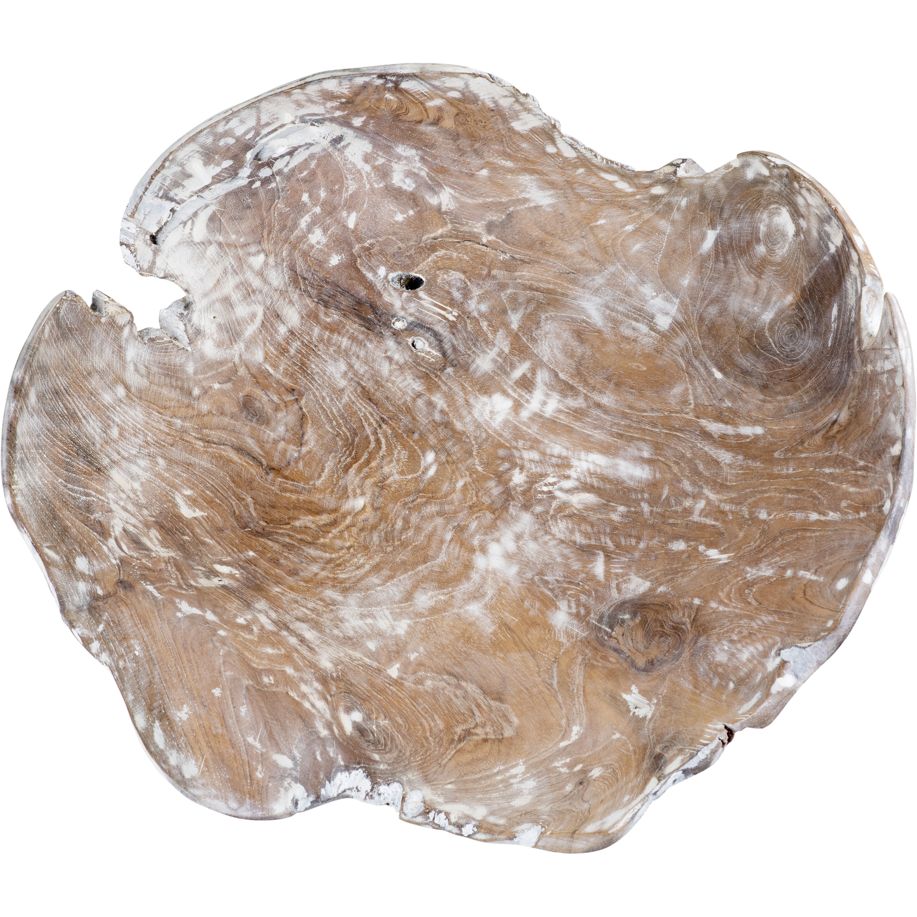 Charbin 15.5 X 4.5 inch Bowl