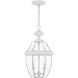 Monterey 2 Light 11 inch White Outdoor Pendant Lantern