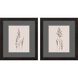 Florals Collection Black Framed Art