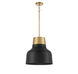 Vintage 1 Light 17 inch Matte Black with Natural Brass Pendant Ceiling Light