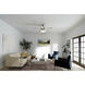 Renew Premier 52 inch Brushed Stainless Steel with Silver Blades Ceiling Fan
