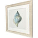 Coastal Bliss Green and Blue Framed Art, Propac