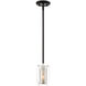 Dunbar 1 Light 4.75 inch Matte Black with Polished Chrome Accents Mini-Pendant Ceiling Light, Essentials