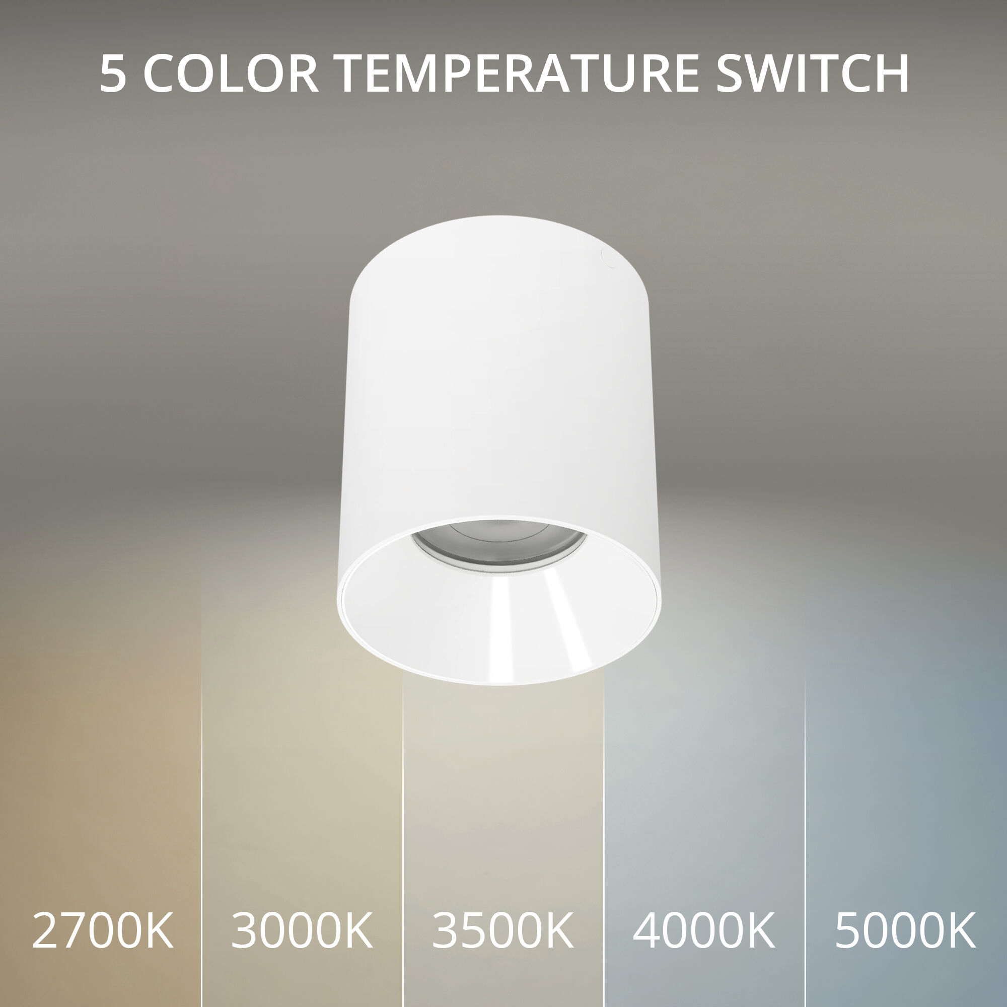 Zoron LED 3.63 inch White Outdoor Ceiling Lighting