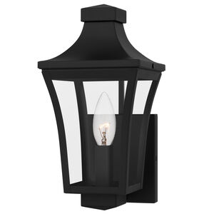 Quentin 1 Light 12 inch Earth Black Outdoor Wall Lantern, Small