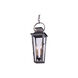 Bancroft 2 Light 7 inch Aged Pewter Outdoor Pendant