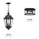 Estate Series Edgewater LED 10 inch Black Outdoor Hanging Lantern