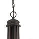 Haven 9 Light 28.5 inch Espresso Chandelier Ceiling Light
