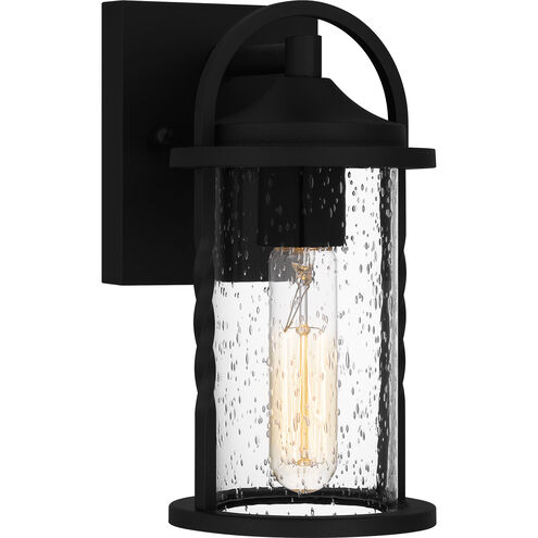 Reece Outdoor Wall Lantern