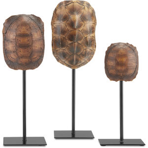 Turtle Shells 13 X 4 inch Sculptures, Set of 3