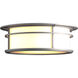Province 2 Light 14.5 inch Coastal Burnished Steel Outdoor Flush Mount