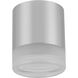 Lucia LED 5.5 inch Polished Chrome Flush Mount Ceiling Light