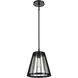Open Louvers 1 Light 10 inch Matte Black Pendant Ceiling Light