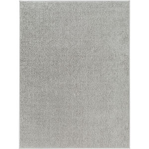 Alfombra 60 X 39 inch Gray Rug, Rectangle