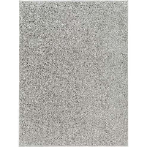 Alfombra 36 X 24 inch Gray Rug, Rectangle