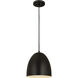 Z-Studio 1 Light 9.5 inch Satin Black Pendant Ceiling Light in Matte Black