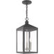 Nyack 3 Light 8 inch Scandinavian Gray Outdoor Pendant Lantern