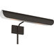 C&M by Chapman & Myers Hull 50 watt 18 inch Aged Iron Picture Light Wall Light