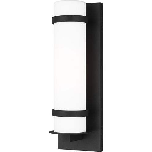 Alban 1 Light 14 inch Black Outdoor Wall Lantern, Small