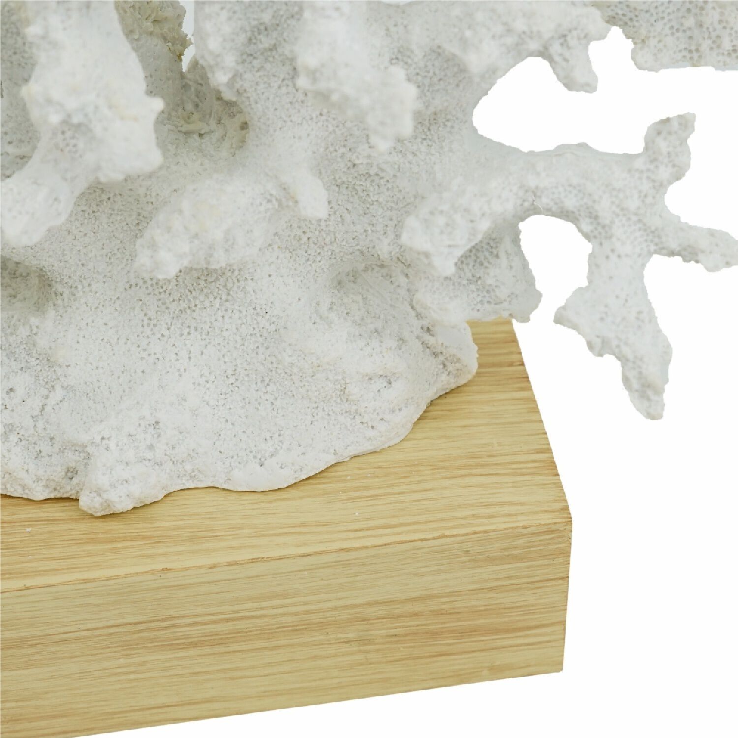 Lifelike 11.4 X 5.1 inch Sculpture