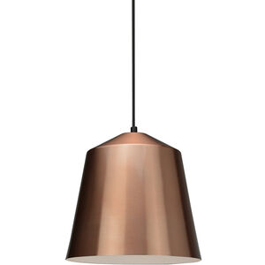 Encase 1 Light 12.5 inch Copper Pendant Ceiling Light