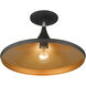 Waldorf 1 Light 14 inch Black with Brushed Nickel Finish Accents Semi-Flush Ceiling Light in Black with Brushed Nickel Accent