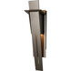 Linea 2 Light 21.9 inch Coastal Dark Smoke Outdoor Wall Sconce