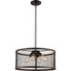Mist 4 Light 20 inch Rubbed Oil Bronze Pendant Ceiling Light
