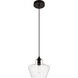 Placido 1 Light 10 inch Black and Clear Pendant Ceiling Light