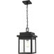 Belle Chasse 1 Light 10.5 inch Powder Coated Black Outdoor Hanging Lantern