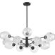 Abii 12 Light 33 inch Matte Black with Clear Chandelier Ceiling Light
