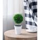 Saguaro Blue Décor
